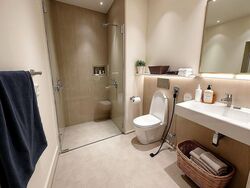 Spottiswoode 18 (D2), Apartment #480802591